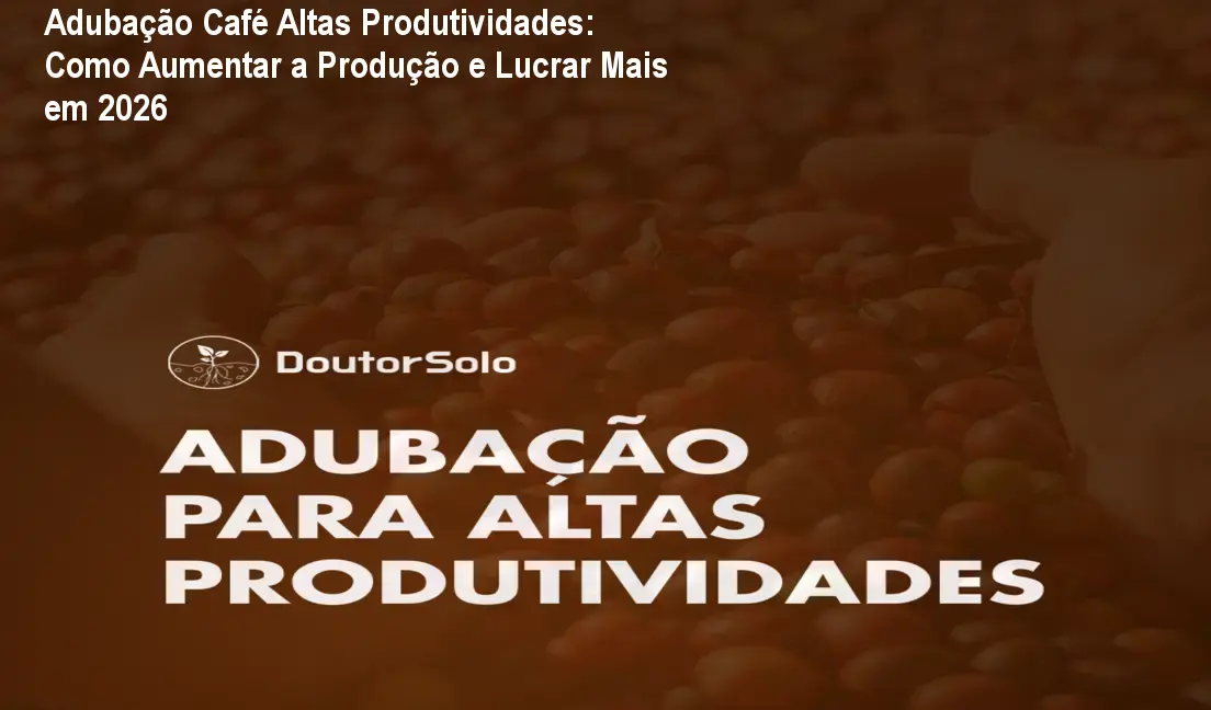 Adubação Café Altas Produtividades aplicada em solo de cafeeiro mostrando aumento de produtividade