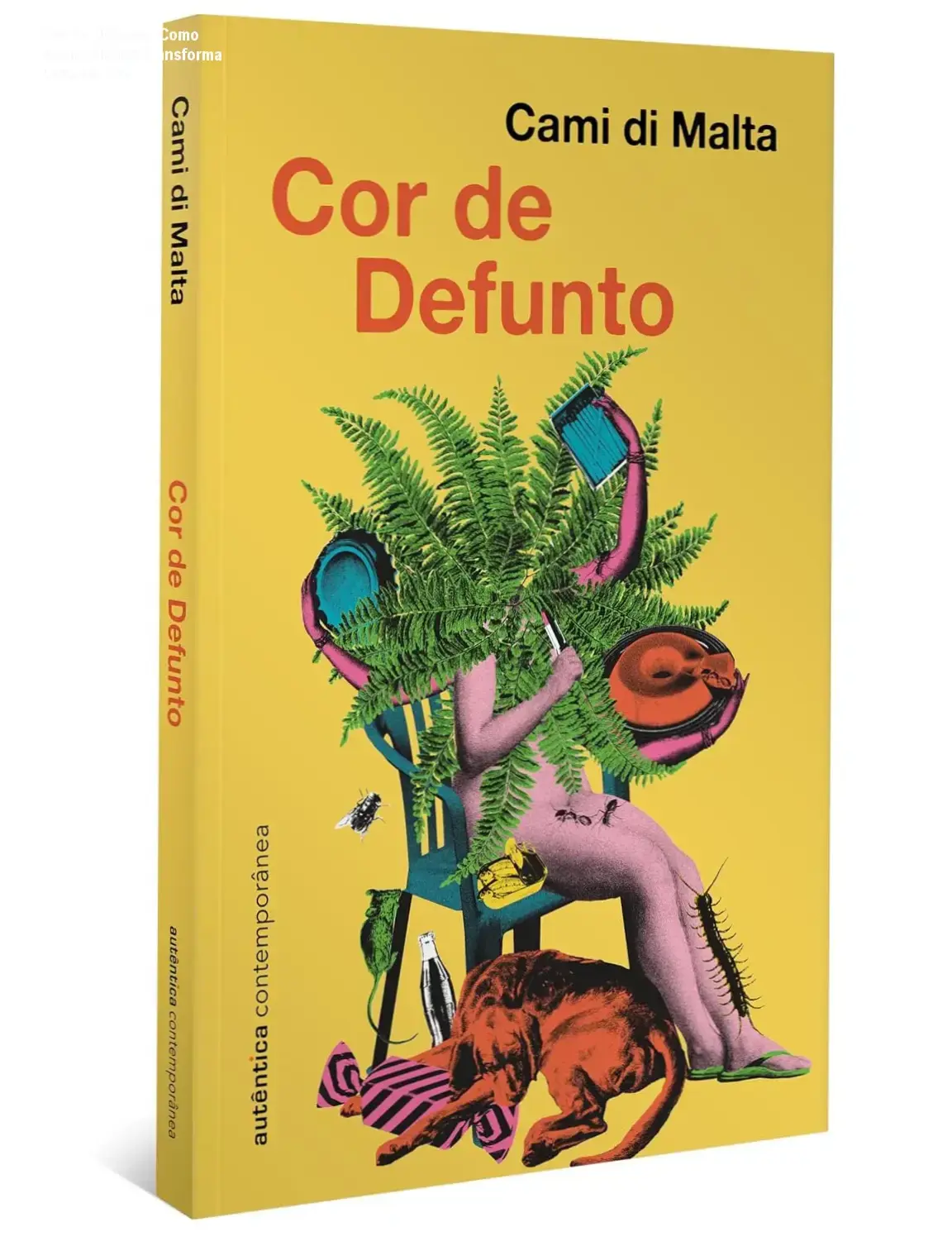 cor defunto cami malta capa romance luto humor Cor de Defunto: Como Cami di Malta Transforma Luto em Arte Capa do livro Cor de Defunto de Cami di Malta, romance brasileiro sobre luto e humor na funerária