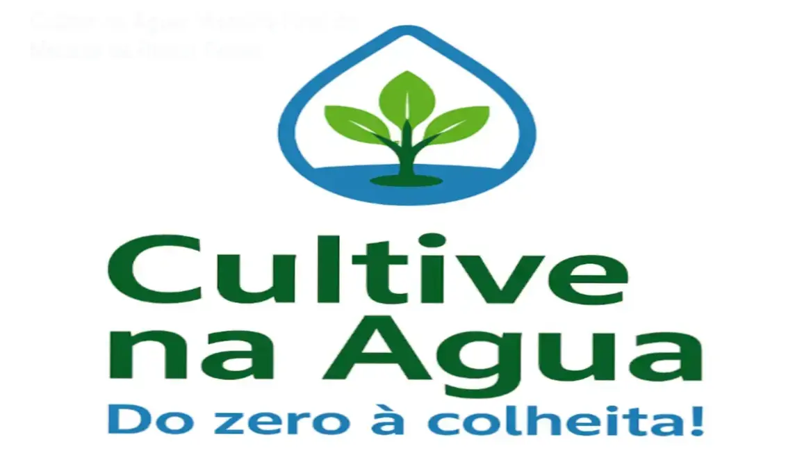 Horta hidropônica doméstica montada seguindo o método Cultive na Água de Bruno Palma