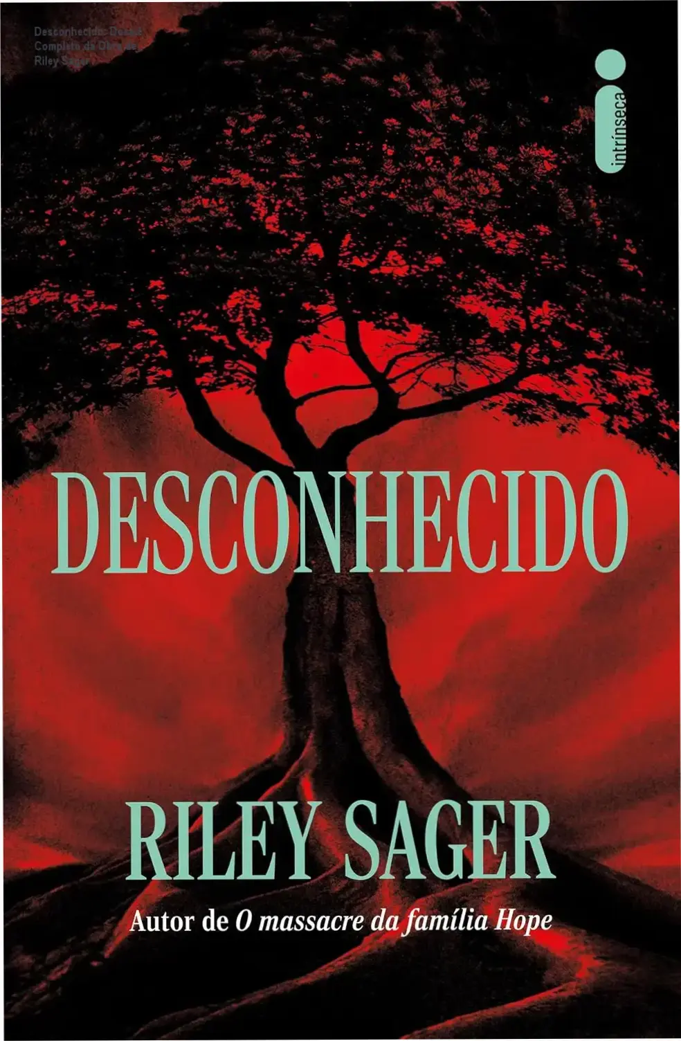 Capa do livro Desconhecido de Riley Sager ambientada em uma ilha misteriosa