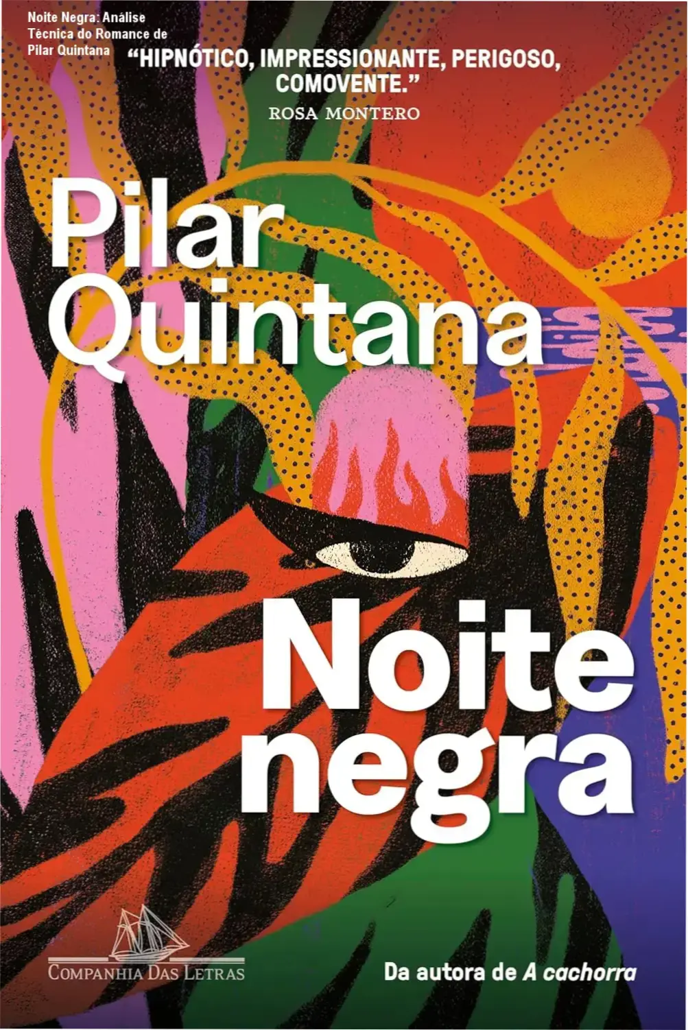 Capa do livro Noite Negra de Pilar Quintana publicada pela Companhia das Letras com arte de Elisa Von Randow