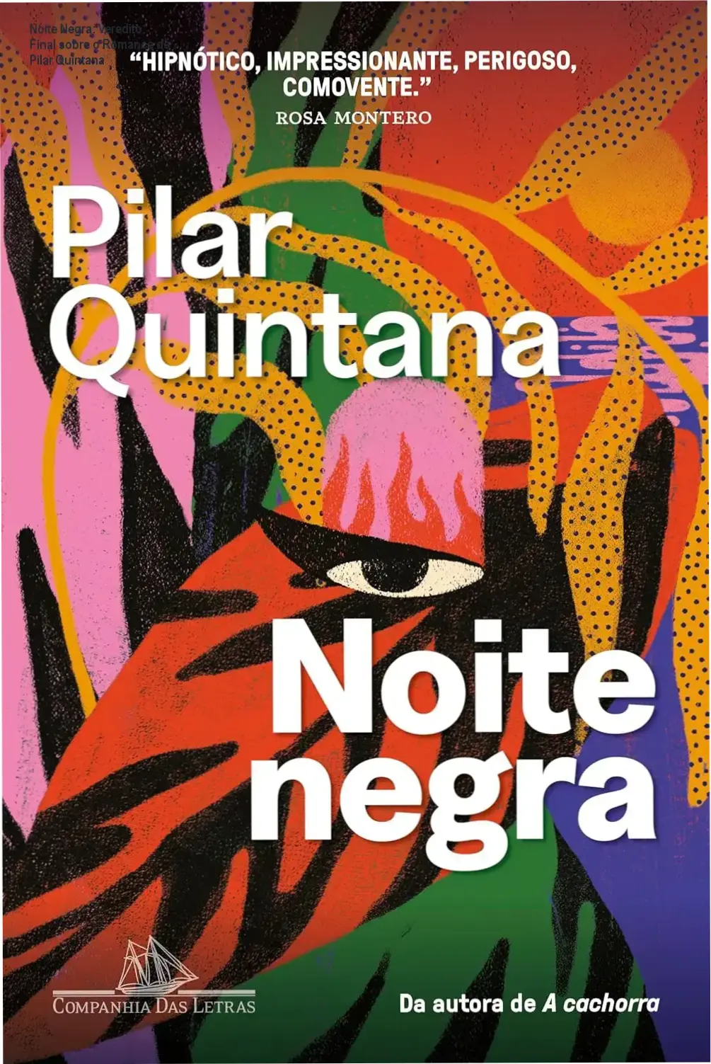 Capa do livro Noite Negra de Pilar Quintana, edição Companhia das Letras, arte de Elisa Von Randow