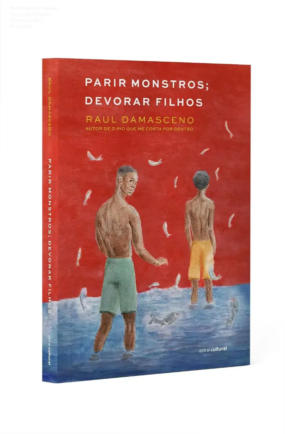 parir monstros devorar filhos raul damasceno analise literaria Parir Monstros: Análise Técnica do Romance Visceral de Raul Damasceno Capa do livro Parir Monstros, Devorar Filhos de Raul Damasceno sobre mesa com anotações de análise literária