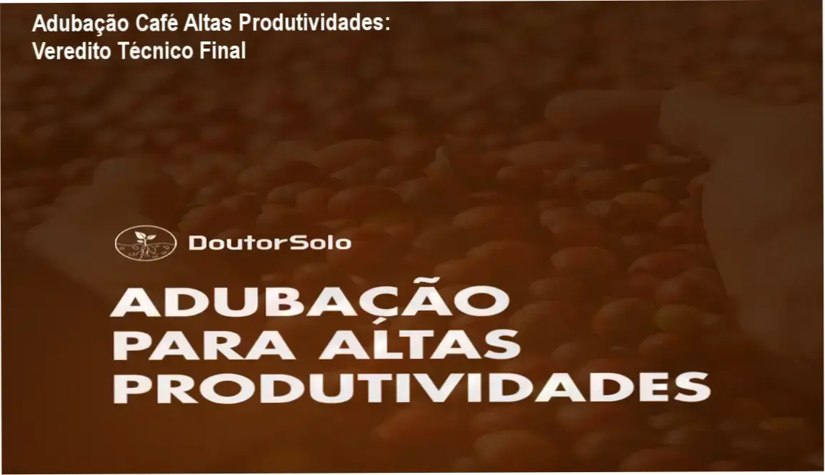 adubacao cafe altas produtividades nutricao de precisao Adubação Café Altas Produtividades: Veredito Técnico Final Plantação de café produtiva com aplicação de adubação de precisão e nutrição vegetal