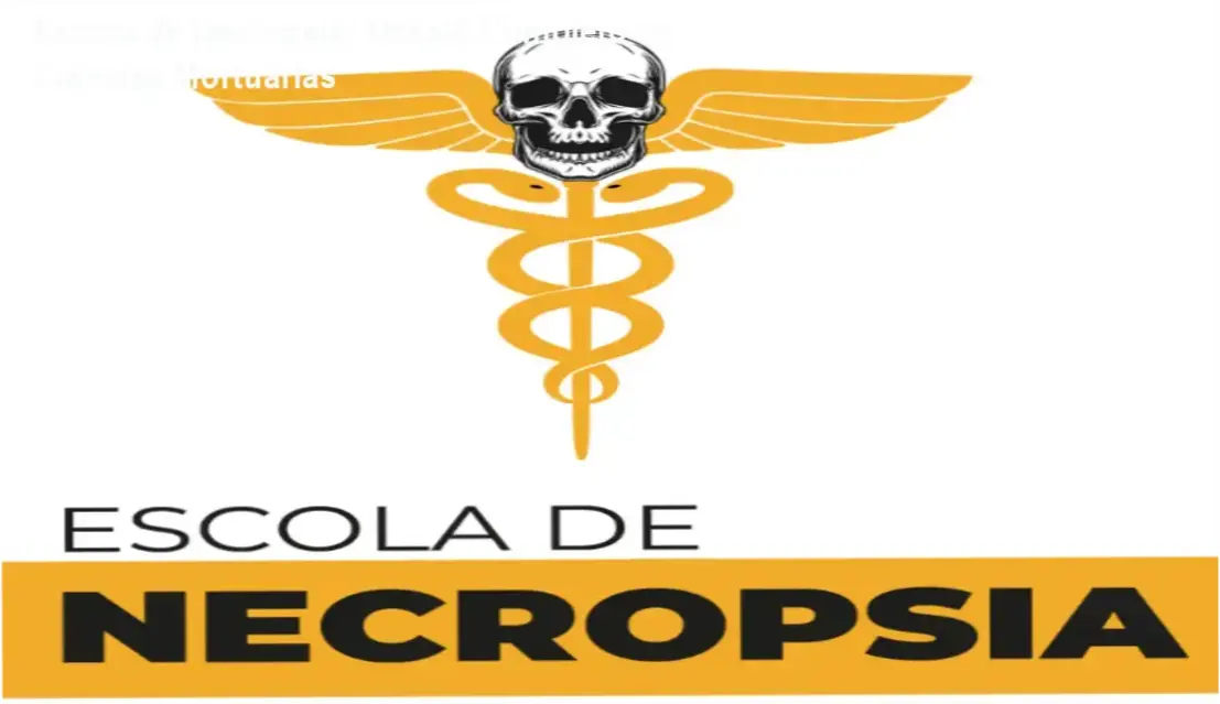Estudante analisando conteúdo técnico do curso Escola de Necropsia em Ciências Mortuárias