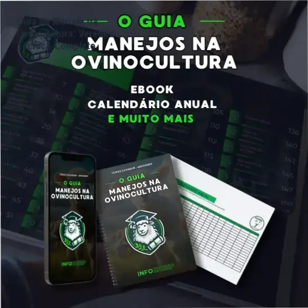 Guia de Manejo na Ovinocultura de Tomaz Cavagnari: visão interna das planilhas e funcionamento do guia