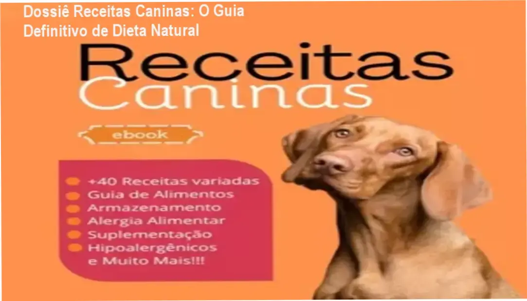 Cão saudável ao lado de tigela com alimentação natural caseira e nutritiva