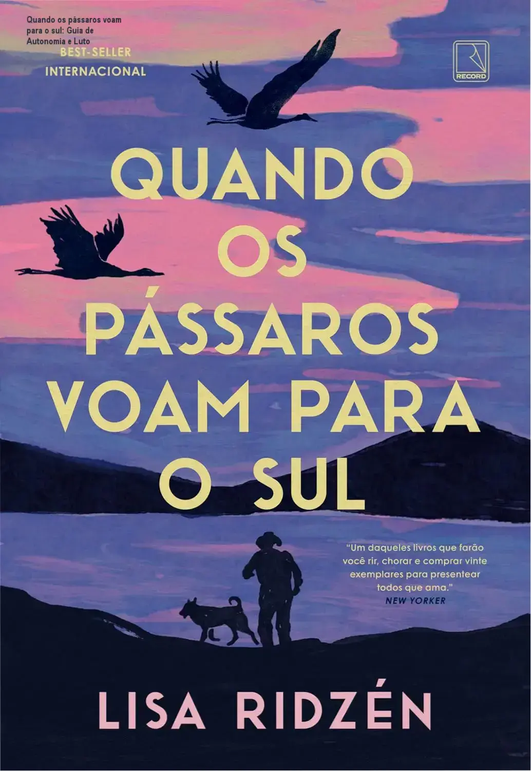 Capa do livro Quando os pássaros voam para o sul em composição minimalista nórdica