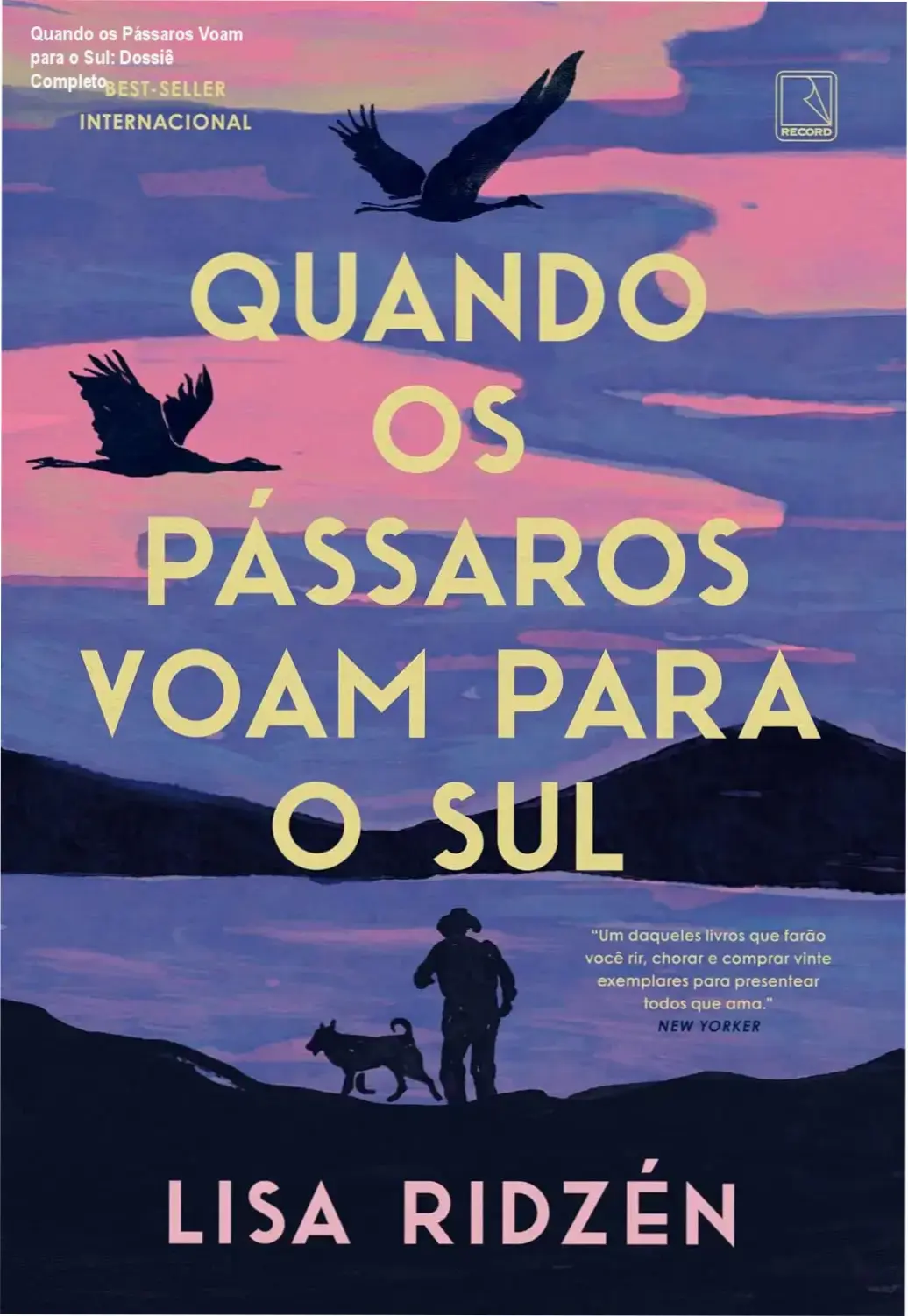 Livro Quando os Pássaros Voam para o Sul de Lisa Ridzén: visão interna e análise